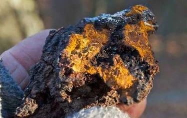 Chaga chunks