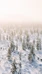 Winter Weekly Activities 1.12.2025-20.4.2026