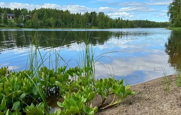 Kinkamon pirtti - Pirtti, oman metsän puista tehty majoituskohde. 

Kaisu-Leena Pekkanen