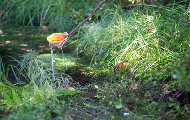 Kinkamon pirtti - Pirtti, oman metsän puista tehty majoituskohde. 
Kaisu-Leena Pekkanen