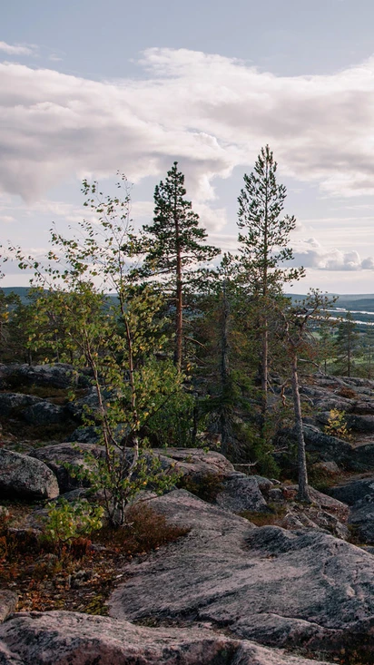 Aavasaksa Lapland - Ylitornio