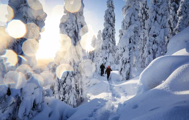 Lumikenkäilyretki Kolin huipuilla. - Tule kokemaan lumikenkäily Kolilla, Ukko-Kolin, Akka-Kolin, ja Paha-Kolin kuuluisissa kansallismaisemissa. Koli, Pohjois-Karjala.