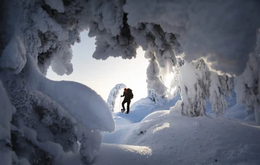 Lumikenkäilyretki Kolin huipuilla. - Tule kokemaan lumikenkäily Kolilla, Ukko-Kolin, Akka-Kolin, ja Paha-Kolin kuuluisissa kansallismaisemissa. Koli, Pohjois-Karjala.