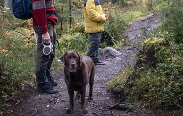Retkeilyä Kolilla kansallismaisemassa. Pohjois-Karjala.