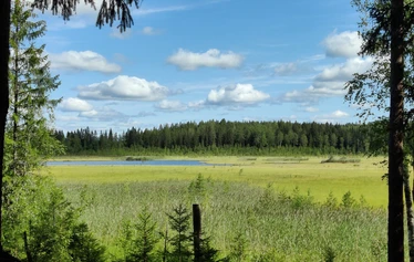 Kuva: Jani Hanhijärvi
