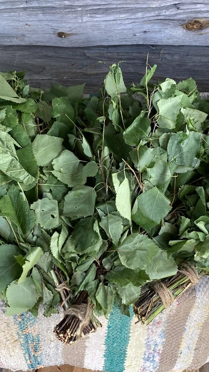 Saunaelämykset