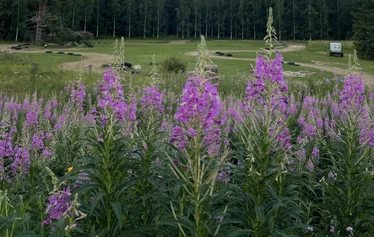 Kartingia maaseutumaisemassa - Rata on 170 metriä pitkä ja rakennettu vanhalle heinäpellolle. 
Lämmittelyajojen jälkeen ajetaan aika-ajot. Lopuksi lähdetään ajamaan finaalia lähtöruuduista. 

Ajanotto tapahtuu käsin. 