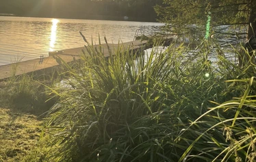Virkistyspäivä tuo laiturille vilskettä