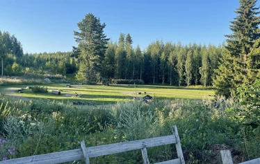 Kartingia maaseutumaisemassa - Rata on 170 metriä pitkä ja rakennettu vanhalle heinäpellolle. 
Lämmittelyajojen jälkeen ajetaan aika-ajot. Lopuksi lähdetään ajamaan finaalia lähtöruuduista. 

Ajanotto tapahtuu käsin. 
