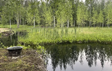 Omaa lampeamme - meidän hyvän olon keskusta - emme ohita Mielen maisemat - kokonaisuudessa. Se on ehdottomasti osa tätä.