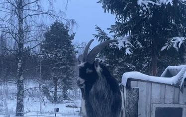Hokkalan voimahetki - siinä on voimaa! - Varaa itsellesi muutama tunti omaa aikaa ja tule voimaantumaan!