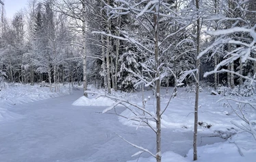 Kuva otettu syyskuussa 2025 meidän pihasta. Tällöin leimusi aivan mielettömän upeat revontulet. Olo oli kuin sadussa olisi kävellyt. Hetki, joka ei unohdu.