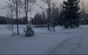 Hokkalan tilan ranta kesällä.