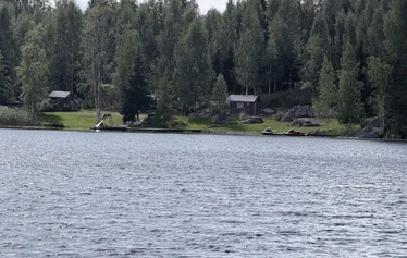 Trump - Vuohilauman tämän hetkinen valtias. Valtaa koetellaan joka päivä - erityisesti syksyisin. 