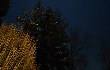 Annen ja Maarikan matkassa - Vasemmalla Maarika ja oikealla Anne