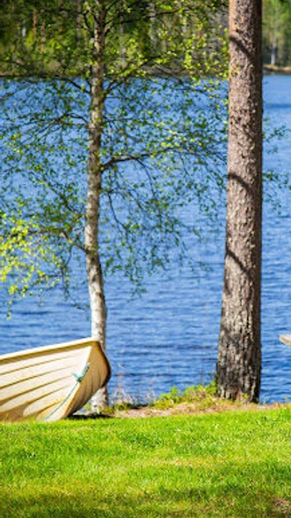 Palvelut ja aktiviteetit lähialueilla