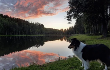 Saunamökki Rauhala