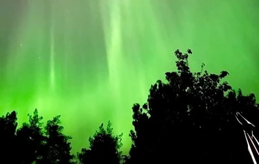 Villa Muun miljöö, silta vie lammen yli grillille