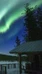Small-group horse ride to the arctic hill 