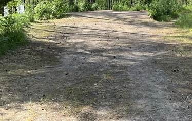 Caravan pitch C12