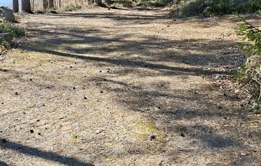 Caravan pitch C15