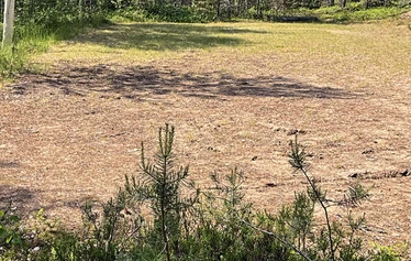 Caravan paikka C17  - Kuvassa paikka C17 alueen oikeassa reunassa. 