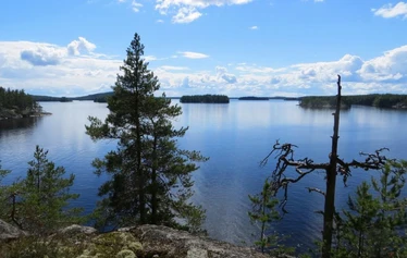barca elettrica ecologica - Scoprite il lago Saimaa in soli 90 minuti con una comoda crociera sul lago a bordo dell'esclusiva imbarcazione elettrica Ecoboat