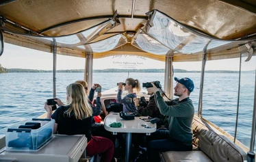 Norpan pää kurkistaa vedestä