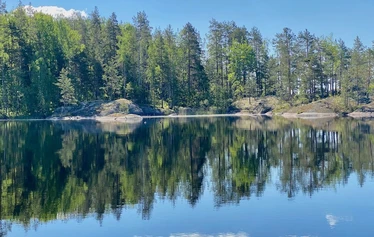 Saimaa Ringel-Robbe - Begleiten Sie den fröhlichen finnischen Kapitän Arto auf einer Robben-Safari mit seinem einzigartigen elektrischen Ecoboat. Erleben Sie die Schönheit des Saimaasees und beobachten Sie in Puumala die seltenen Saimaa-Ringelrobben, ohne sich Gedanken über eventuell kaltes oder regnerisches Wetter machen zu müssen. Mai und Anfang Juni sind die beste Zeit, um Robben zu beobachten. Für diese Touren können Sie Einzelplätze buchen. Das Ecoboat ist wetterfest und bietet Komfort für Menschen jeden Alters. Sie werden ein großartiges und entspannendes Naturerlebnis haben und mit etwas Glück eine seltene Saimaa-Ringelrobbe sehen.