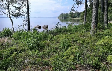 Kalastajan paratiisi - näköalat järvelle päätalon terassilta - Kalastajan paratiisi sijaitsee omalla, rauhallisella niemellä ja sieltä on upeat näköalat Puruvedelle. Kesälahti, Kitee