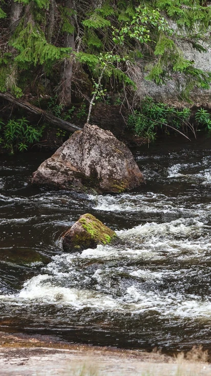 Luontokohteita ja muuta nähtävää lähialueella