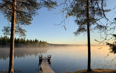 Metsä Kolon hillasuo