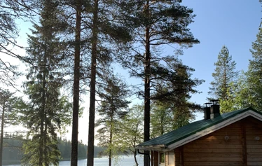 Metsä Kolon hillasuo