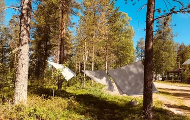 Metsä Kolon hillasuo
