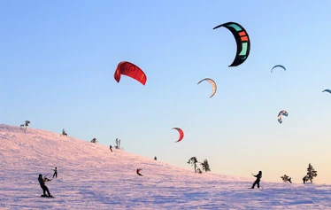 Pallas Kite Week 2024