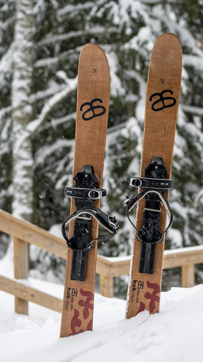 Back country skis (Altai) - Finland, Naturally Experiences