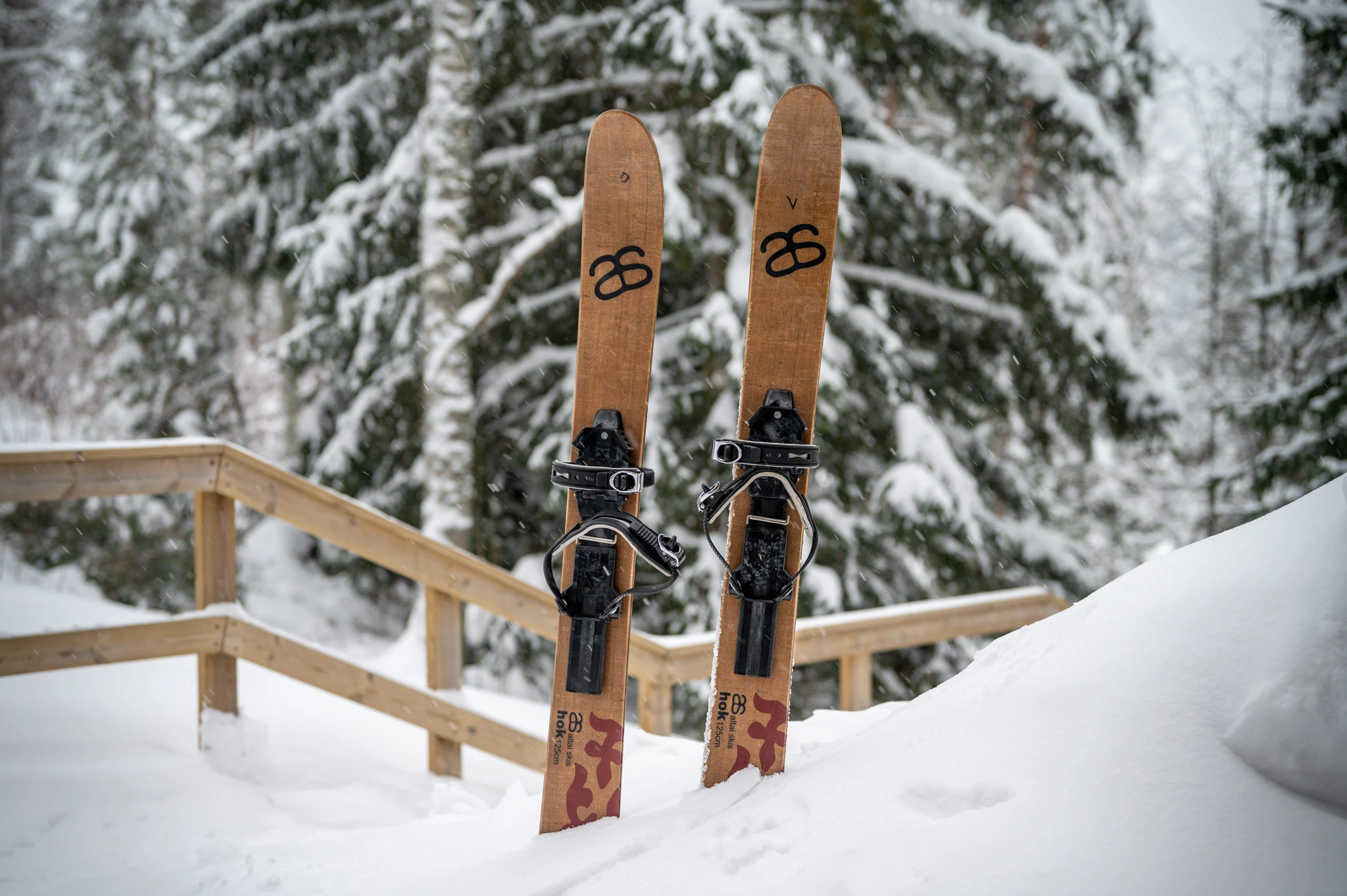 Back country skis (Altai) - Finland, Naturally Experiences