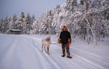 Arctic Discovery – 3-Day Lapland Adventure in Ranua