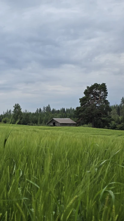 Tietoa meistä ja tilastamme