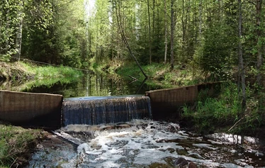 Puronvarsimökki