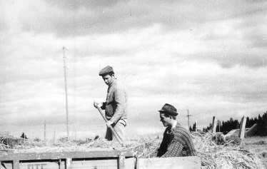 Vanhaa kiviaitaa. - Kuva liittyy QR-koodin tarinoiden aiheeseen. Peltoja raivatessa syntyi kiviaitoja. Kuvan kiviaita pääosin 1920 ja -30 luvuilta.  Kuva: Teemu Hassinen.