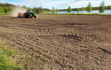 Vanhaa kiviaitaa. - Kuva liittyy QR-koodin tarinoiden aiheeseen. Peltoja raivatessa syntyi kiviaitoja. Kuvan kiviaita pääosin 1920 ja -30 luvuilta.  Kuva: Teemu Hassinen.