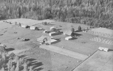 Maalaismaisemaa 1960-luvulta. - Ilmakuva Harjun maatilalta.  Kuva: Heino Koskinen.