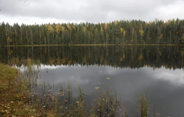 Kalansaalis Löytynjärvestä. - Kuvassa vas. Reino Valta, Aira Väisänen ja Kalevi Lipponen.  Kuva: Reino Valta.