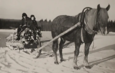 Puun ajoa talvella 1971. - Ohjaksissa Pertti Ruotsalainen ja vas. Antero Ruotsalainen. Kuormaa vetämässä Reipas-hevonen.
Kuva: Riiheläiset.
Kuvat liittyvät QR-koodien tarinoiden aiheisiin. Pääkuva ei liity paikan otsikkoon.