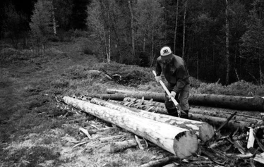Puun ajoa talvella 1971. - Ohjaksissa Pertti Ruotsalainen ja vas. Antero Ruotsalainen. Kuormaa vetämässä Reipas-hevonen.
Kuva: Riiheläiset.
Kuvat liittyvät QR-koodien tarinoiden aiheisiin. Pääkuva ei liity paikan otsikkoon.