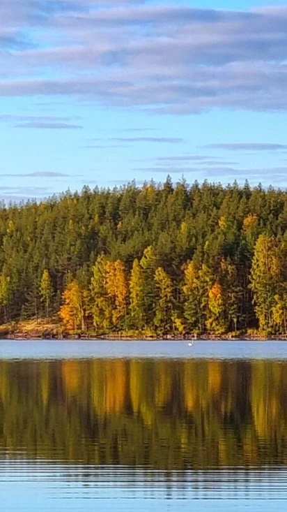 Mannilanniemi