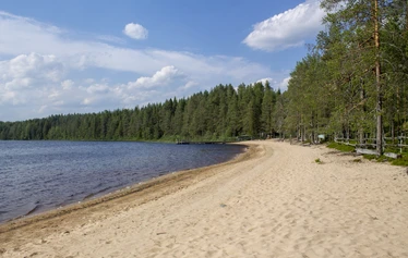 Metsäkartano, Rautavaara: Päärakennus