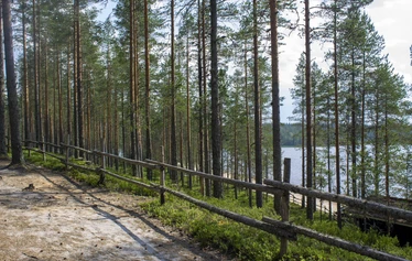 Metsäkartano, Rautavaara: kokouspaikka