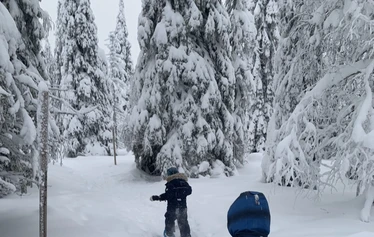 Lumikengät vuokralle omille retkille, Tuusula, Metäsanautti - Vuokraa lumiknegät Metsänautilta ja lähde omille poluille, Metsänautti